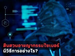 นักสืบไซเบอร์, นักสืบเอกชนไซเบอร์, สืบไซเบอร์, อาชญากรรมไซเบอร์,