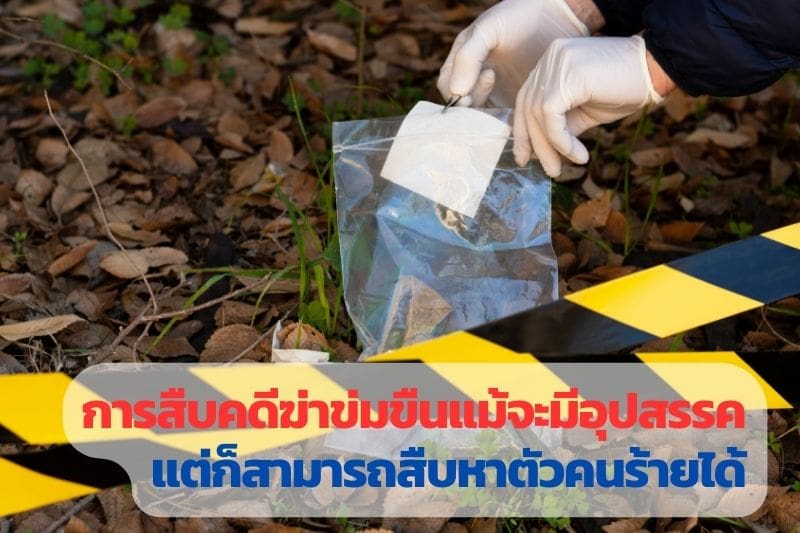 นักสืบ, สืบคดี, สืบหาตัวคนร้าย, นักสืบเอกชน,